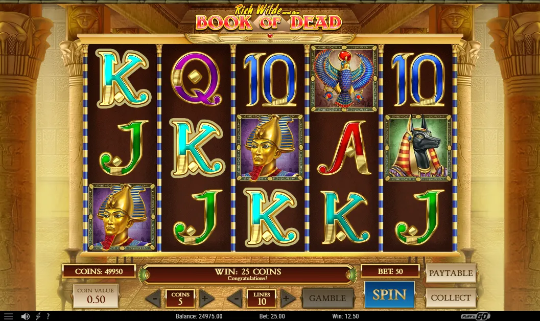 Book of Dead Slot